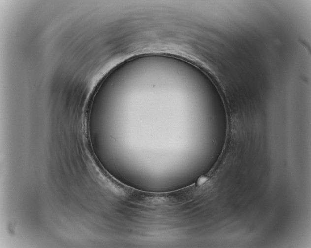X0000101221517200807071335
