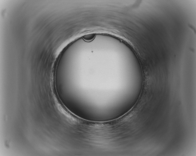X0000101221518200807071335