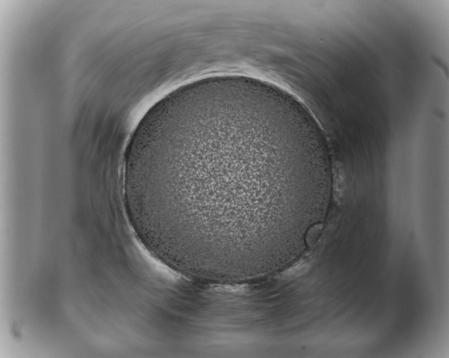 X0000101221519200807071335