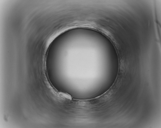 X0000101221520200807071335