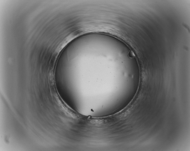 X0000101221521200807071335