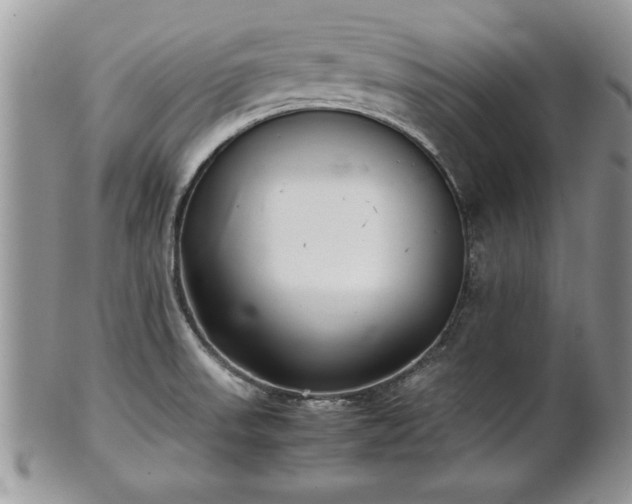 X0000101221523200807071335