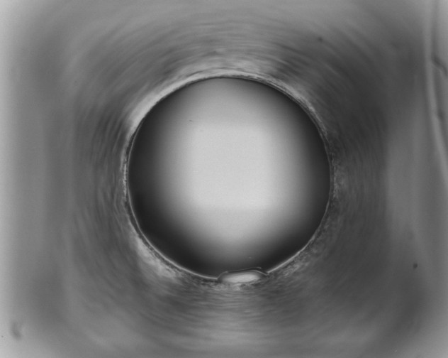 X0000101221524200807071335