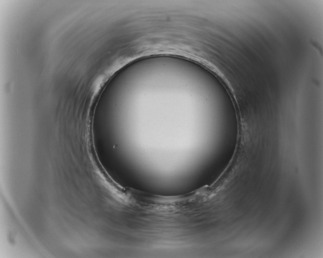 X0000101221525200807071335