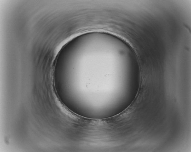 X0000101221526200807071335