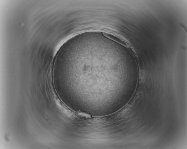 X0000101221530200807071335