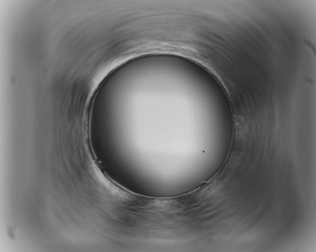X0000101221531200807071335