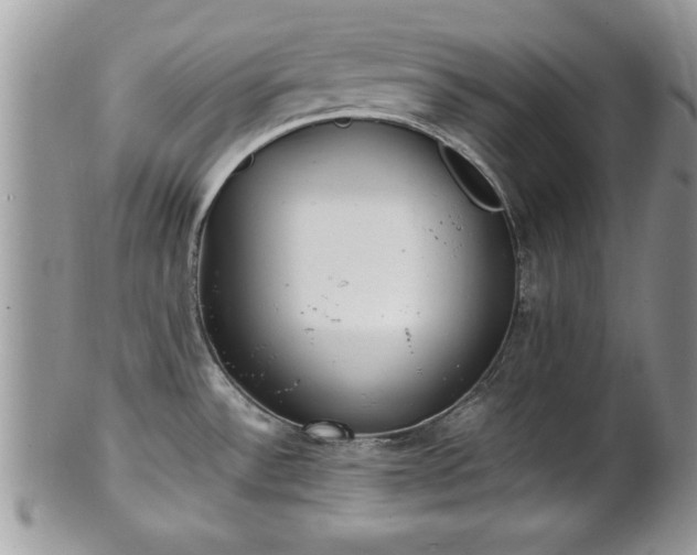 X0000101221532200807071335