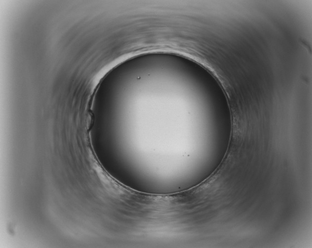 X0000101221534200807071335