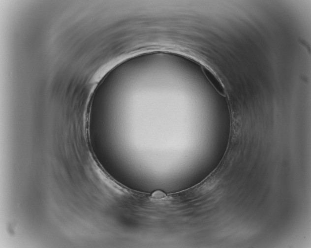 X0000101221535200807071335
