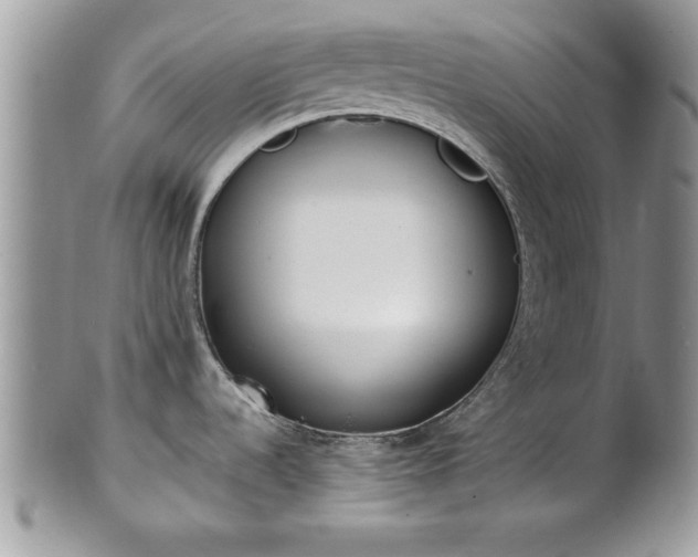 X0000101221536200807071335