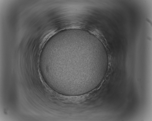 X0000101220001200807111108