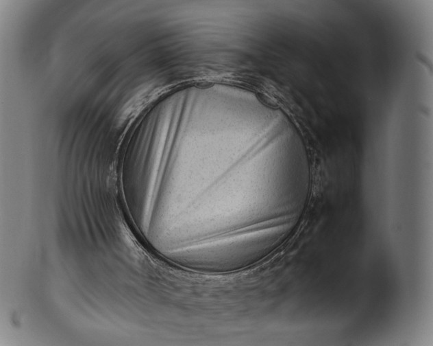 X0000101220002200807111107