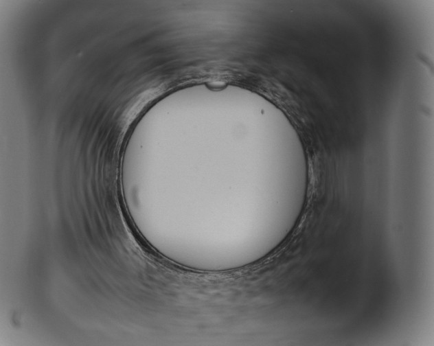 X0000101220003200807111107
