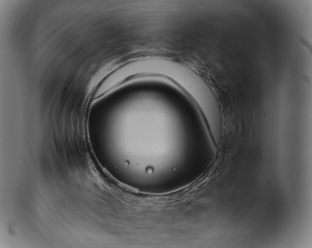 X0000101220004200807111107
