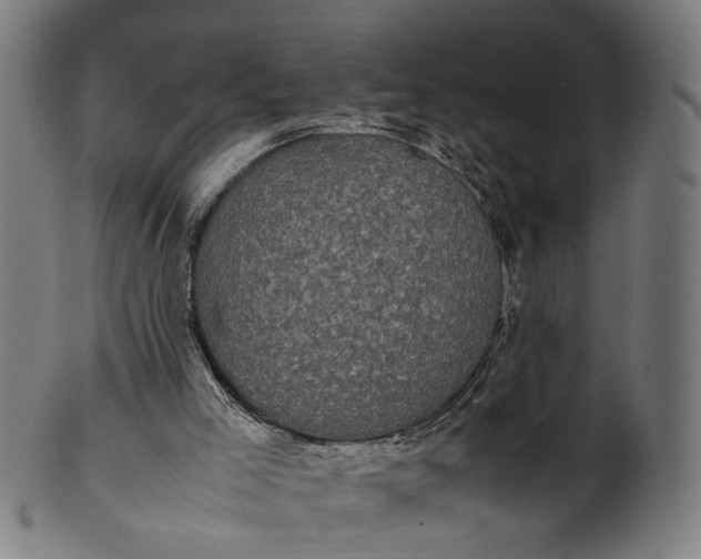 X0000101220005200807111107