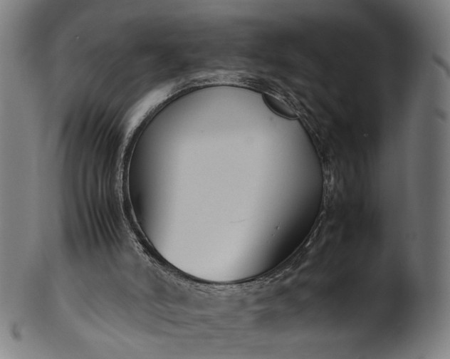 X0000101220006200807111107