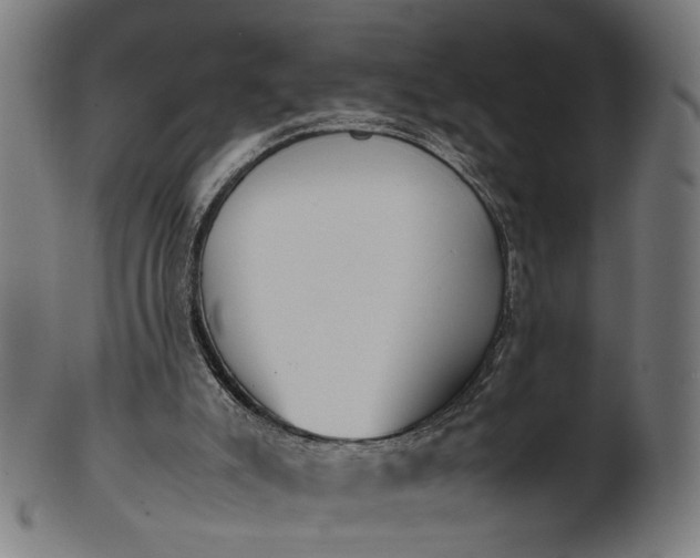 X0000101220007200807111107