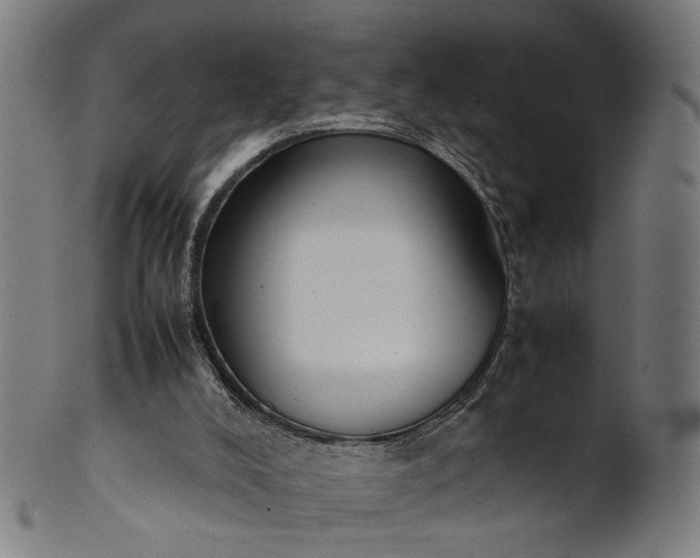 X0000101220008200807111107