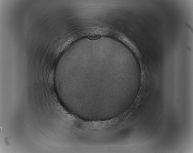 X0000101220009200807111107