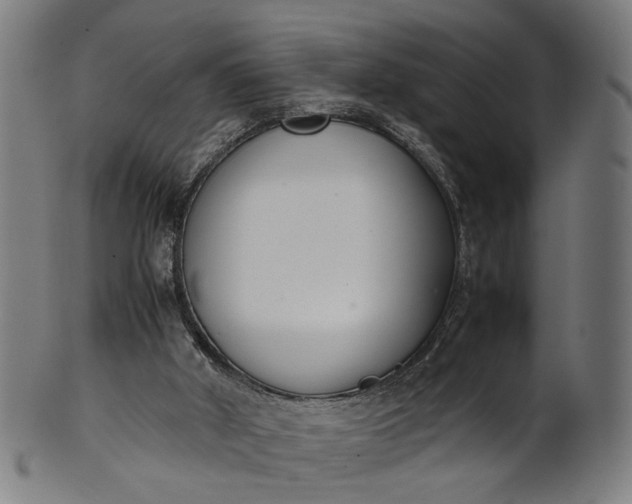 X0000101220010200807111107