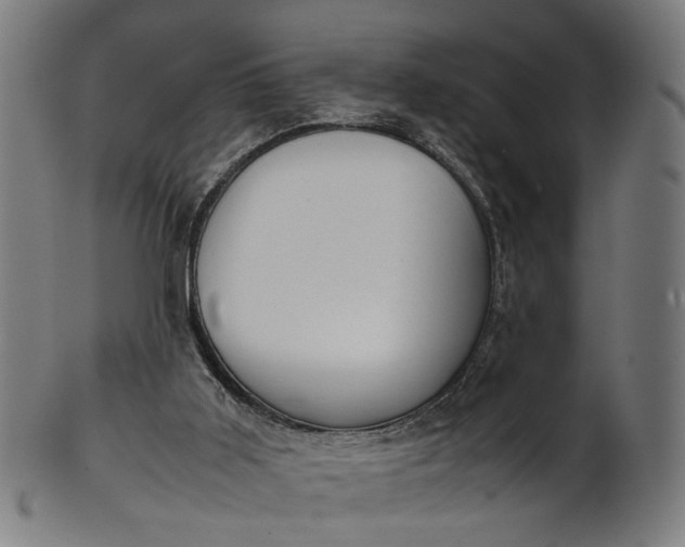 X0000101220011200807111107