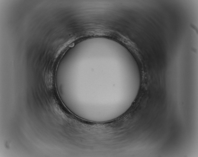 X0000101220012200807111107