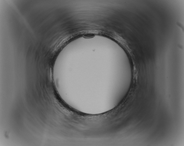 X0000101220013200807111107