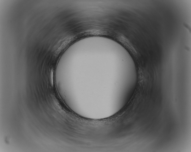 X0000101220014200807111107