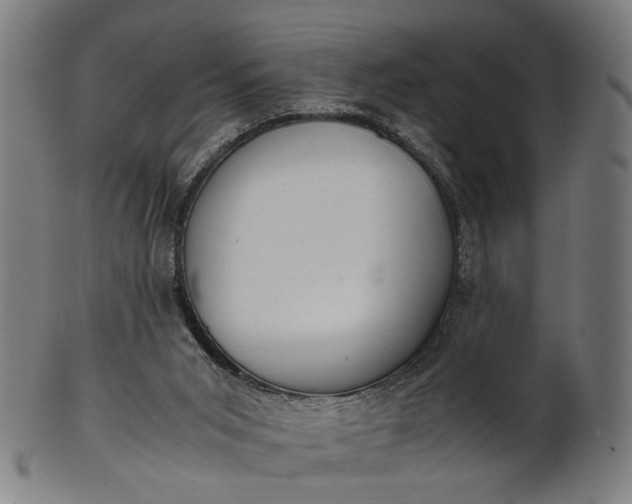 X0000101220015200807111107