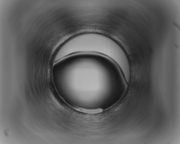 X0000101220016200807111107