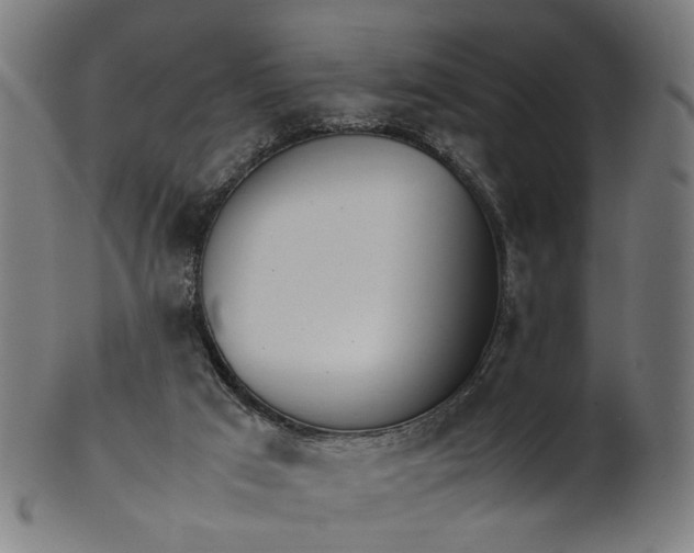 X0000101220017200807111107