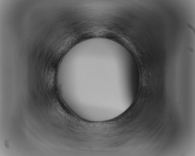 X0000101220018200807111107