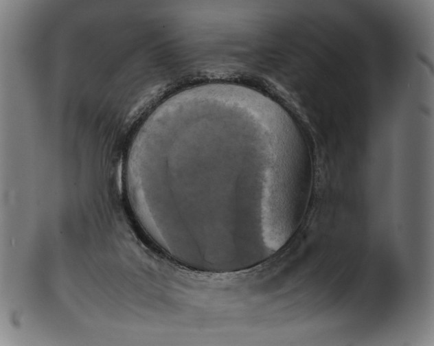 X0000101220019200807111107