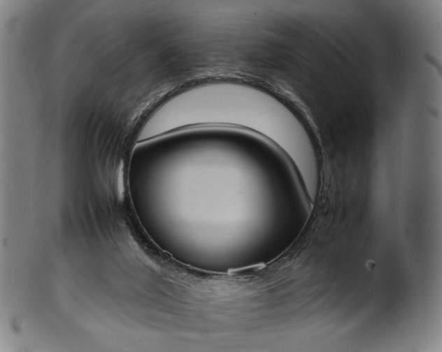 X0000101220020200807111107