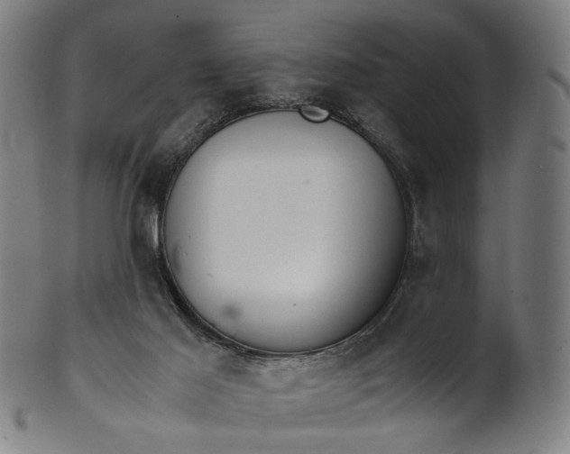 X0000101220021200807111107