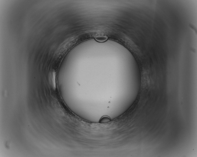 X0000101220022200807111107