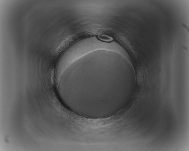 X0000101220023200807111107