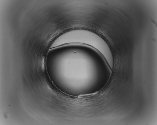 X0000101220024200807111107