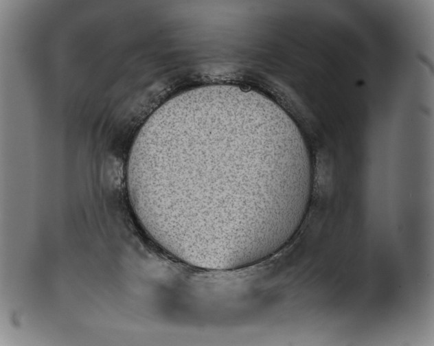 X0000101220025200807111107