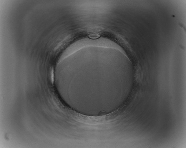 X0000101220027200807111107