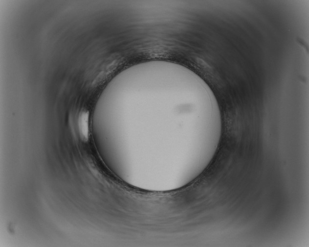 X0000101220028200807111107