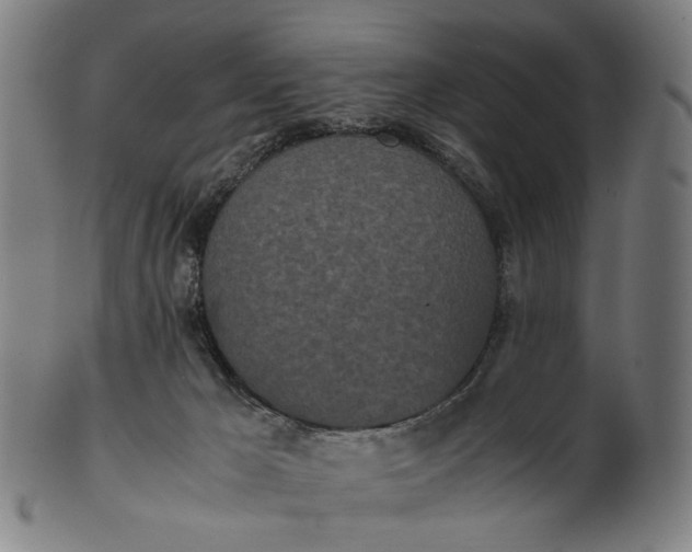 X0000101220029200807111107