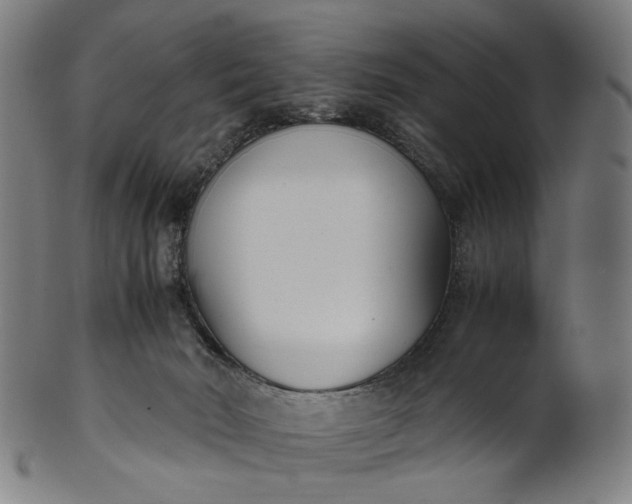 X0000101220030200807111107