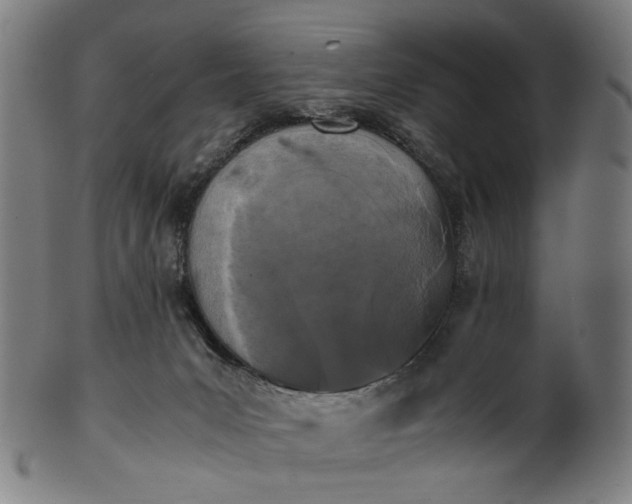 X0000101220031200807111107
