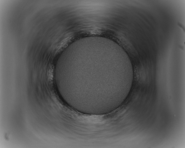 X0000101220032200807111107