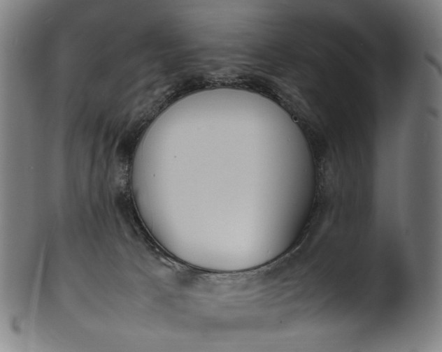 X0000101220033200807111107
