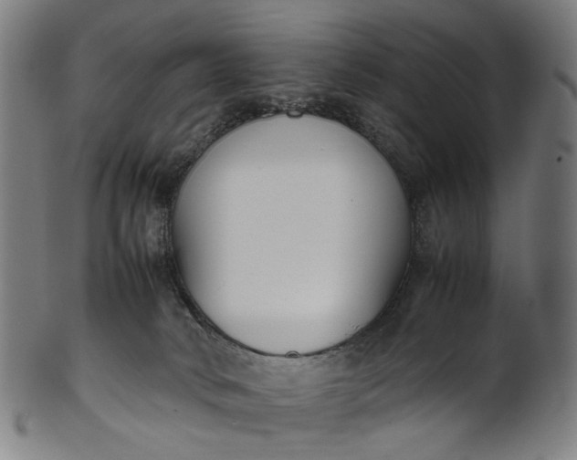 X0000101220034200807111107