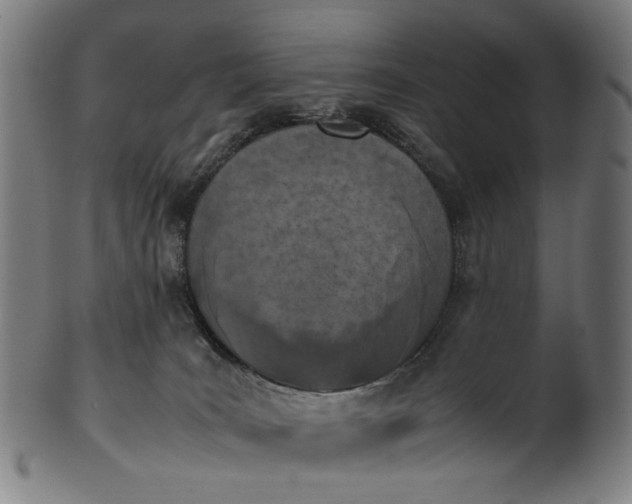 X0000101220035200807111107