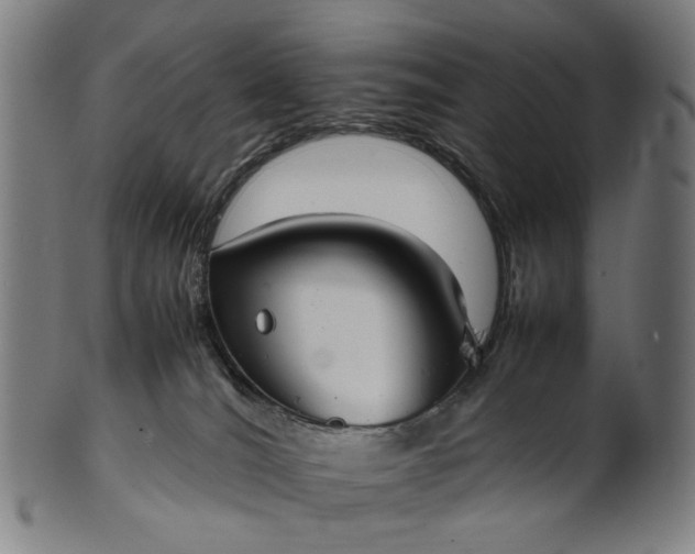 X0000101220036200807111107